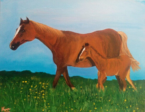 Animal Paintings - Horse and Foal