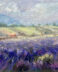 Lavender fields